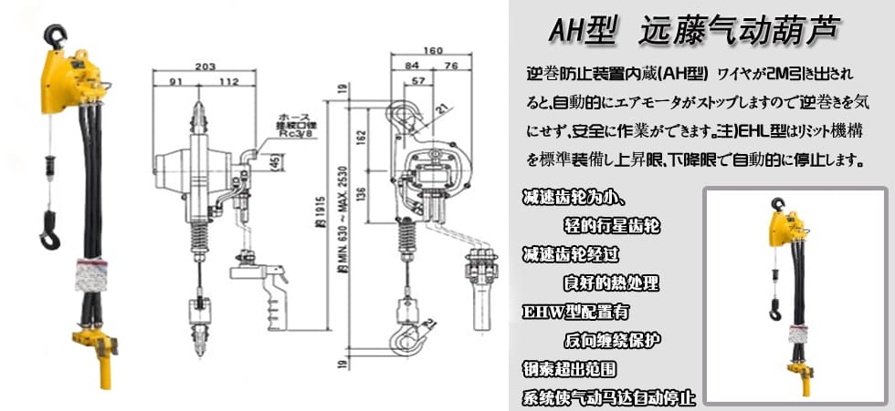 AH型ENDO遠(yuǎn)藤氣動葫蘆