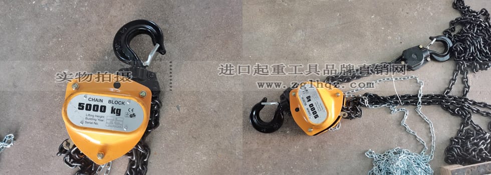 成功定制5噸10米手拉葫蘆